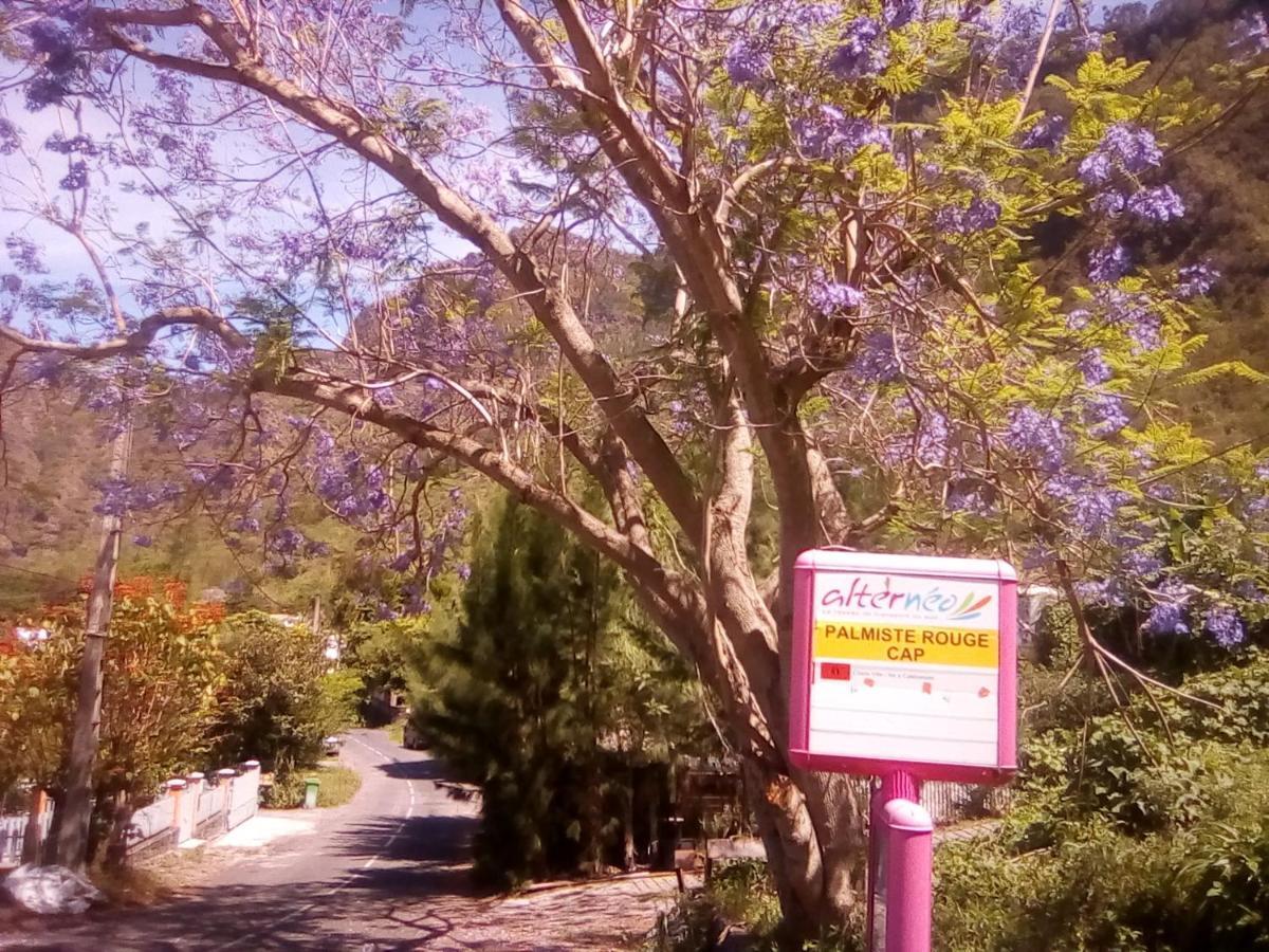 Auberge Du Cap Cilaos Zewnętrze zdjęcie
